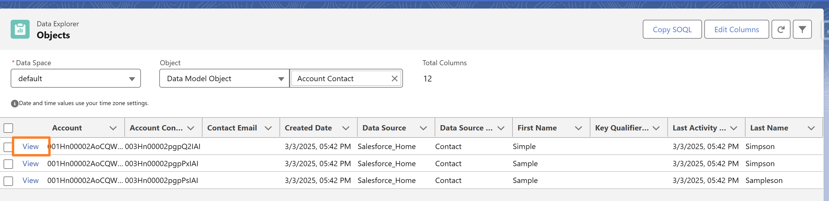 Data Cloud view record through data explorer