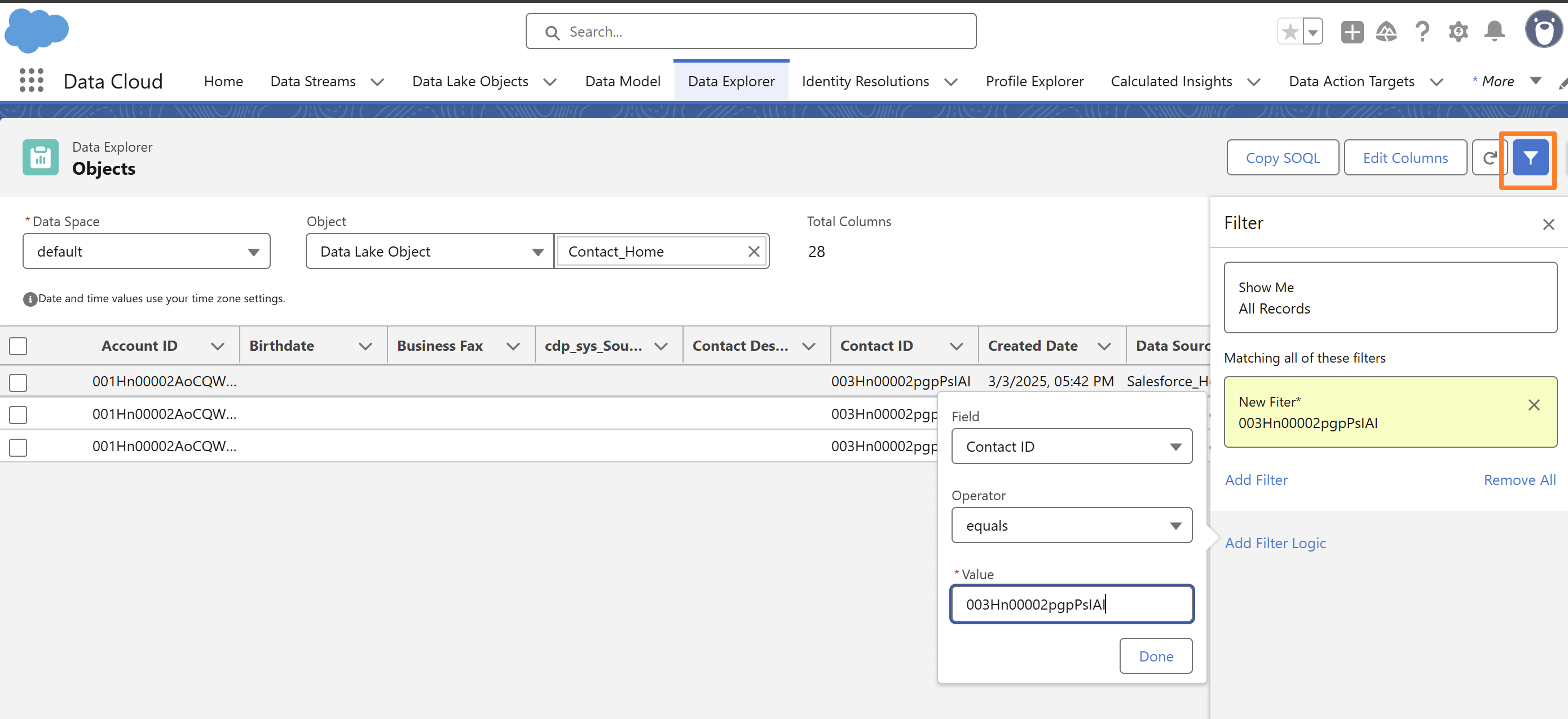 Data Explorer use the filter button