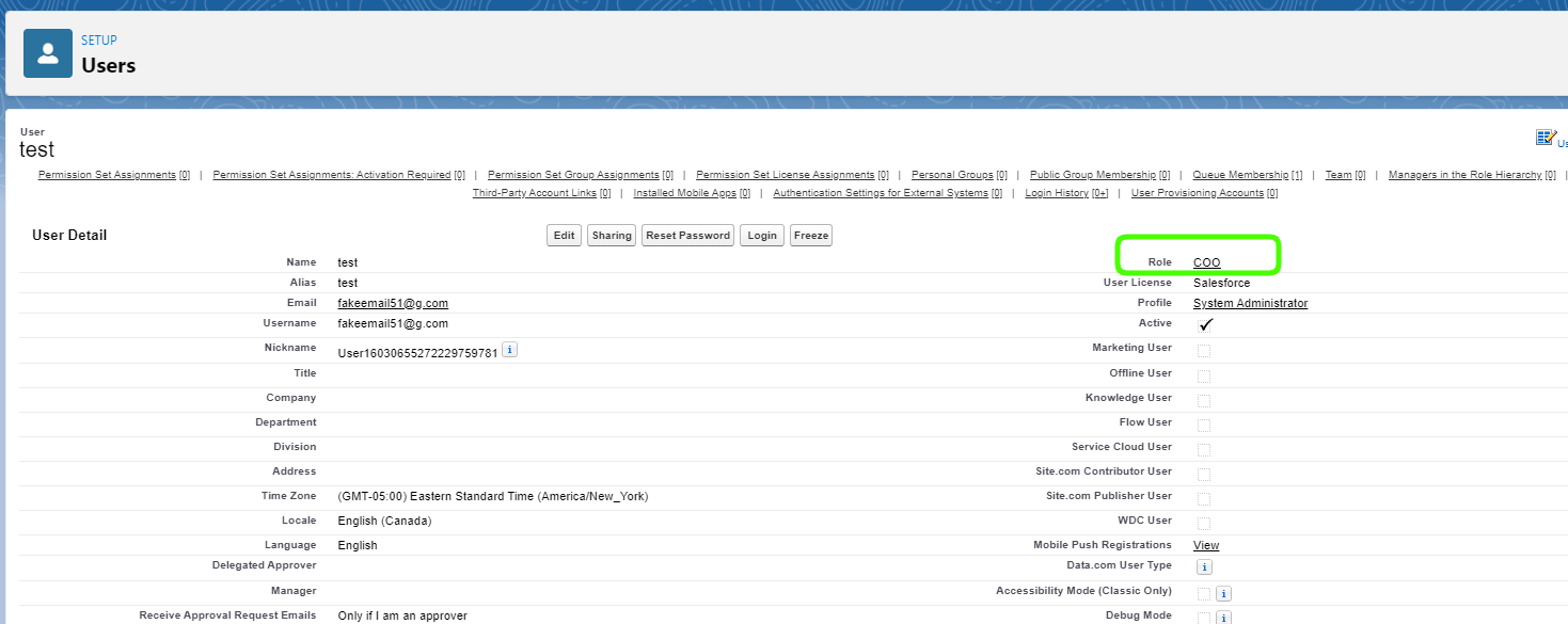 access Role View From User Detail Page