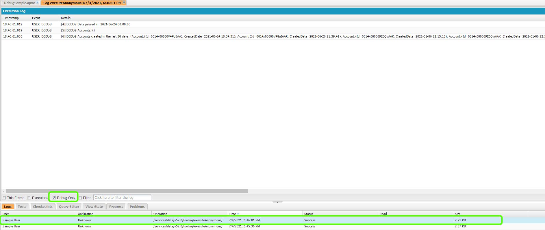 Display debug log example