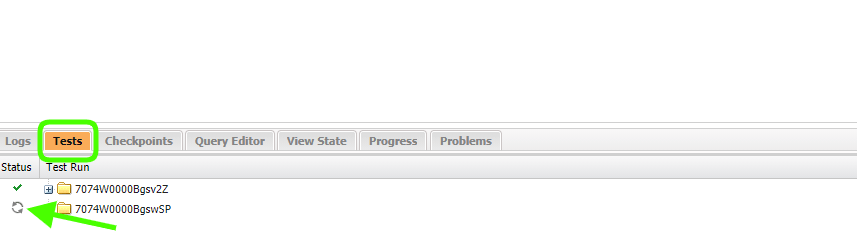 Developer Console Tests
