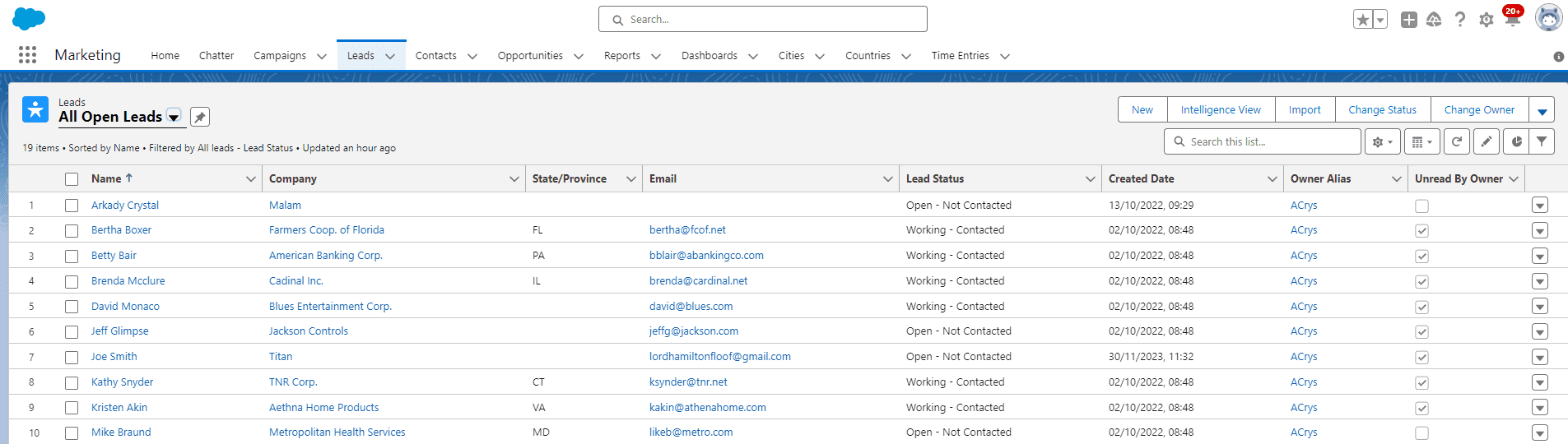 Example of leads created by Titan in Salesforce